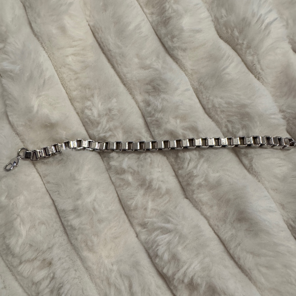 Miranda Frye Silver Box Chain Bracelet.
